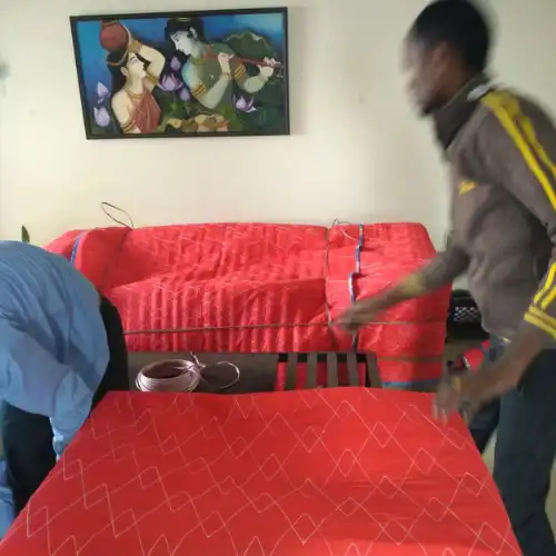 DTDC Packers and Movers Service