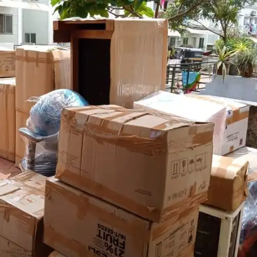 DTDC Packers and Movers Service
