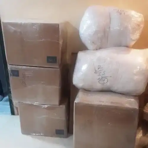 DTDC Packers and Movers Service