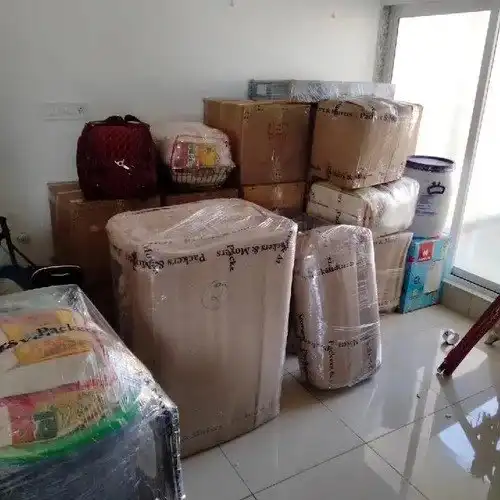DTDC Packers and Movers Service