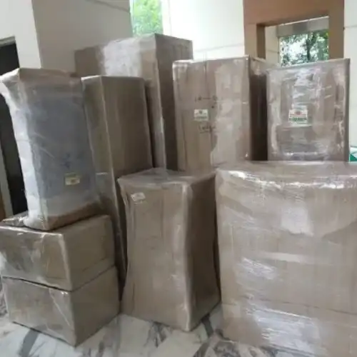 DTDC Packers and Movers Service