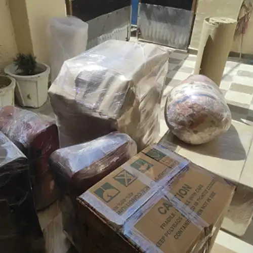 DTDC Packers and Movers Service