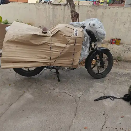 DTDC Packers and Movers Service
